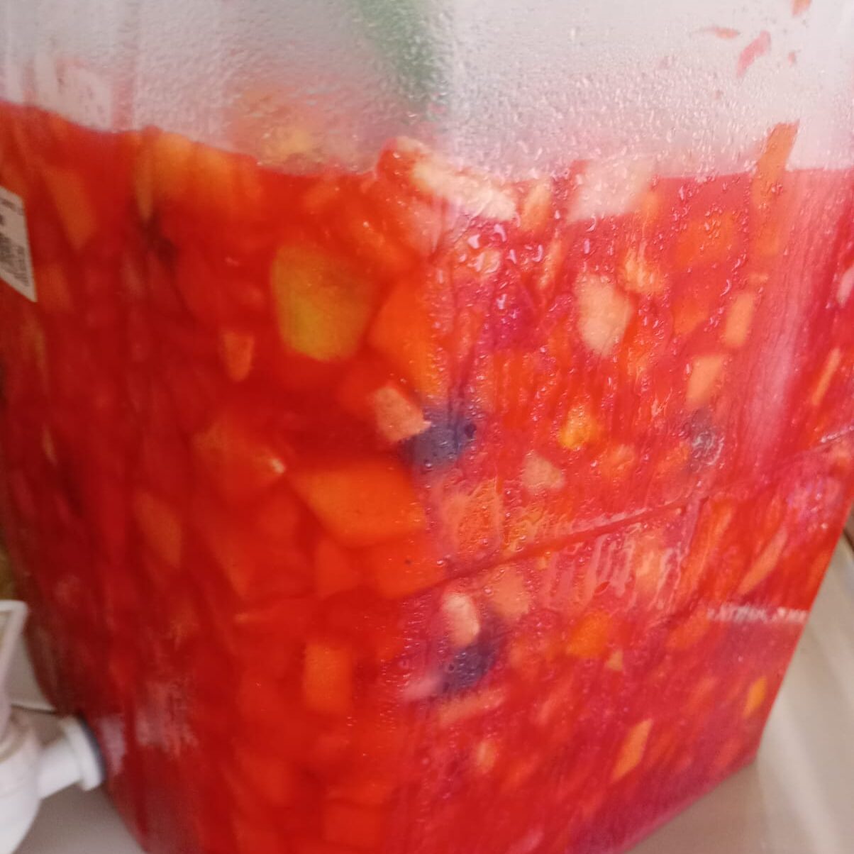 Salpicón Salpicón